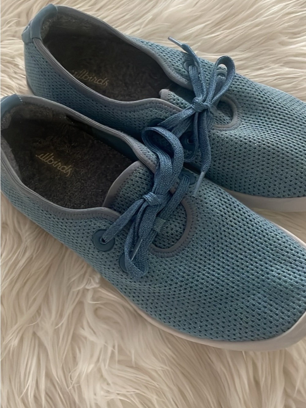 allbirds Light Blue Knit Lace-Up Sneakers